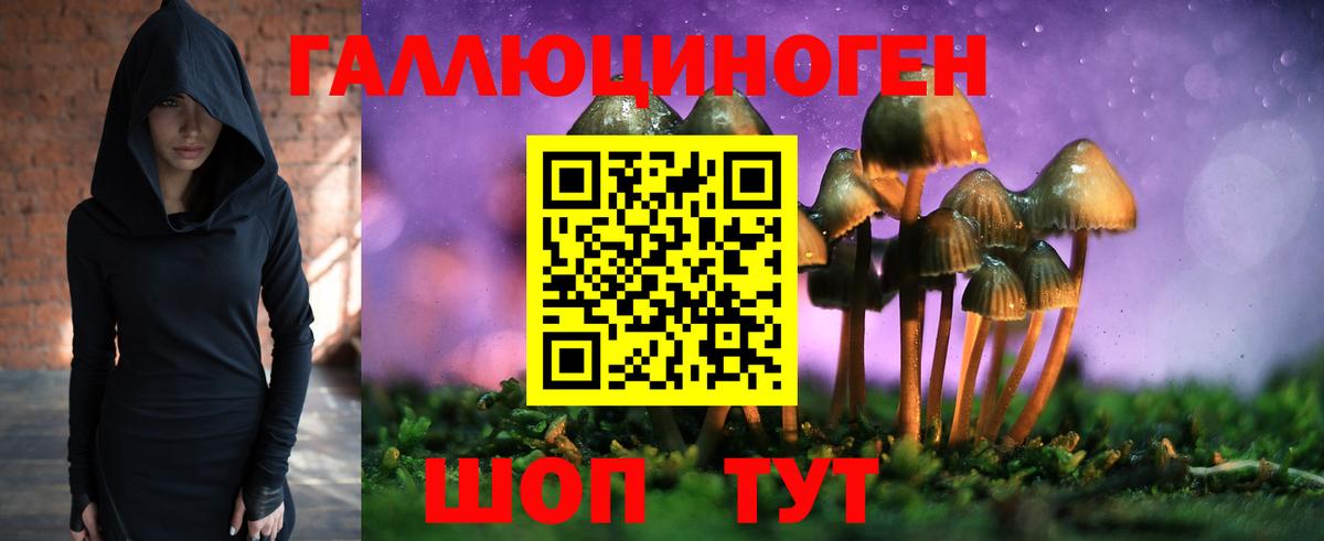 Отрадный  Галлюциногенные грибы Magic Shrooms  Вход с VPN 